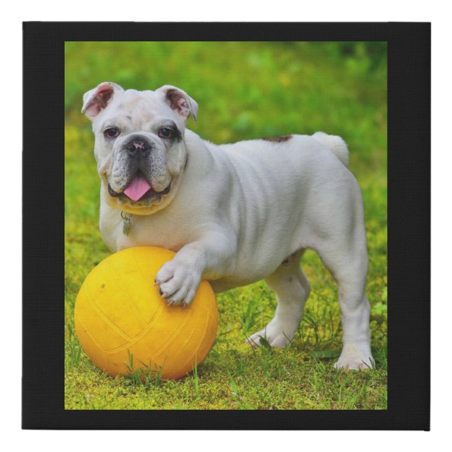 Cute English Bulldog Basketball Bulldog Lover Gift Faux Canvas Print (Front)