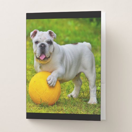 Cute English Bulldog Basketball Bulldog Lover Gift Pocket Folder