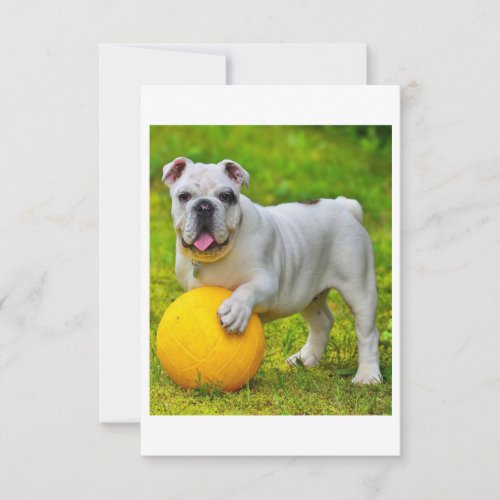 Cute English Bulldog Basketball Bulldog Lover Gift RSVP Card