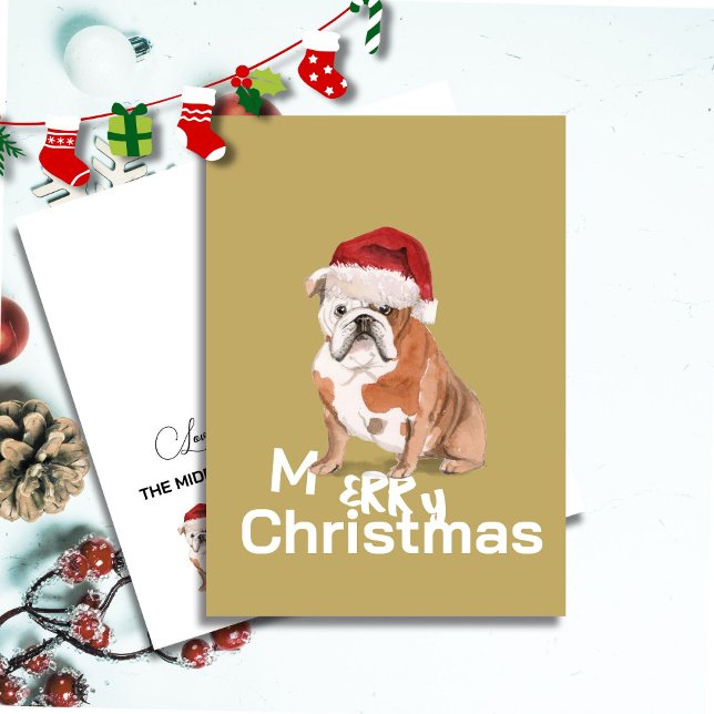 Cute English Bulldog in Santa Hat Merry Christmas  (Creator Uploaded)