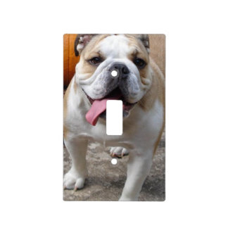 Cute English Bulldog Light Switch Cover decor
