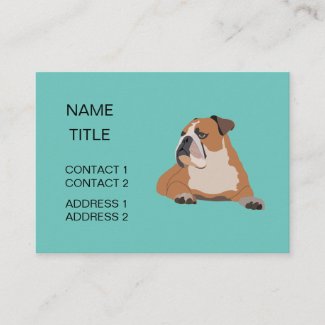 Cute English Bulldog Pet Sitter