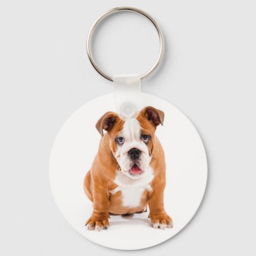 Cute English Bulldog Puppy Keychain