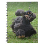 Cute English Cocker Spaniel Notebook