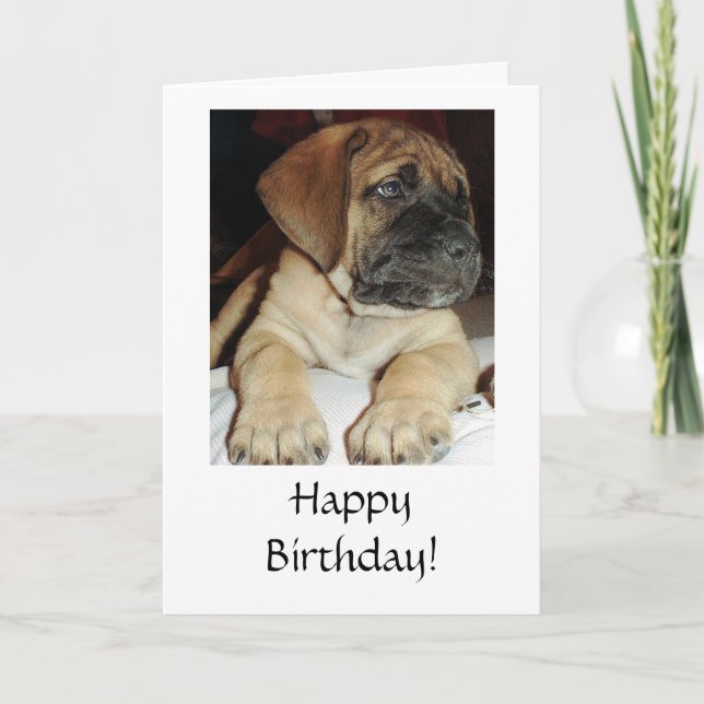 Cute English Mastiff Puppy photo - Happy Birthday Card (Front)
