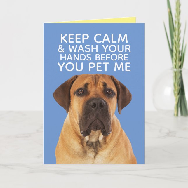 Cute English Mastiff Staying Calm Wash Hands Card (Front)