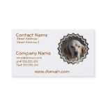 Cute English Setter Business Card