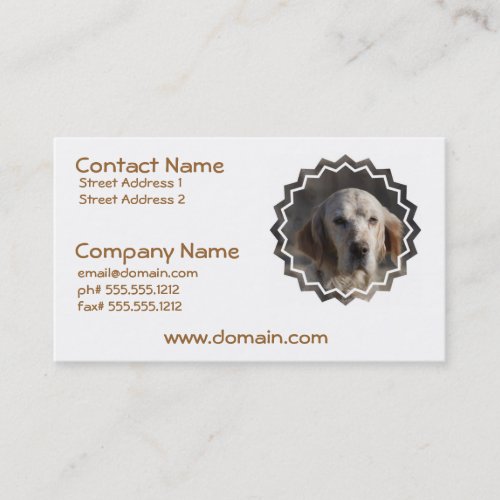 Cute English Setter Business Card