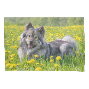 Cute Eurasier Dog in a Meadow Flowering Dandelions Pillow Case