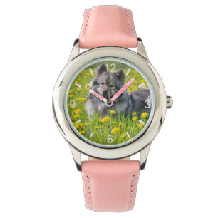 Cute Eurasier Dog in a Meadow Flowering Dandelions Watch