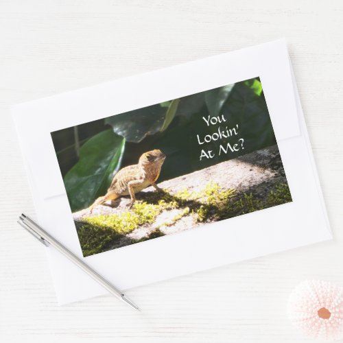 Cute Everglades Lizard Photo You Lookin At Me Rectangular Sticker