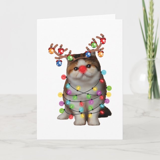 Cute Exotic Shorthair Cat Funny Xmas Holiday Gift Card (Front)