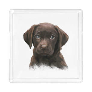 Cute face of Chocolate Labrador Dog Acrylic Tray