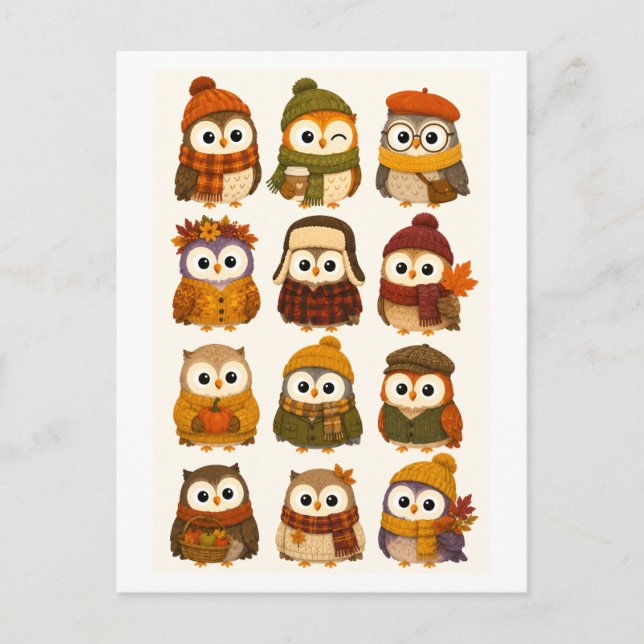 Cute Fall Cartoon Owl Postcard (Front)
