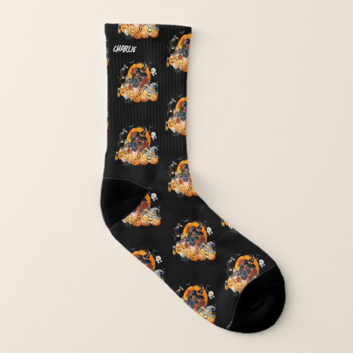 Cute Fall Pumpkins Boxer Halloween Custom Dog  Socks