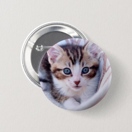 Cute Family Cat Photo Button