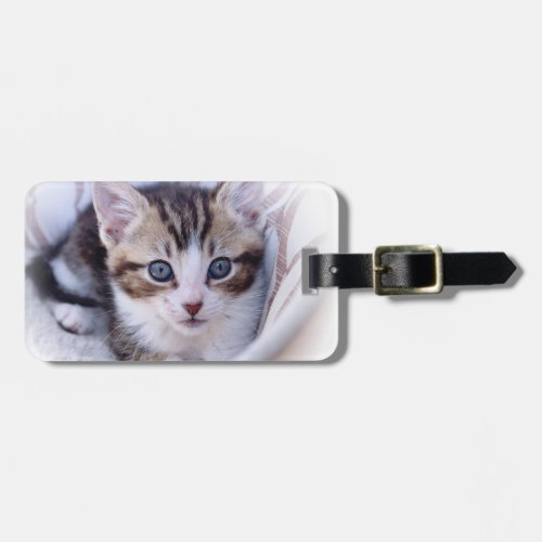 Cute Family Cat Photo Luggage Tag