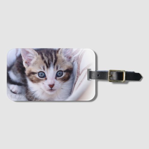 Cute Family Cat Photo Luggage Tag