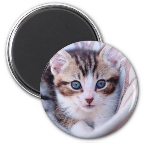 Cute Family Cat Photo Magnet