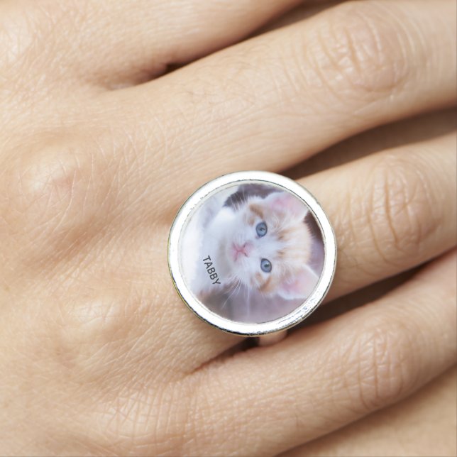 Cute Family Kitten Photo Ring (In Situ)