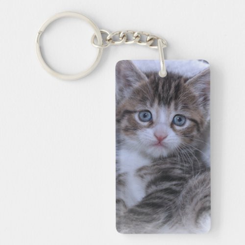 Cute Family Kittens Photo Keychain