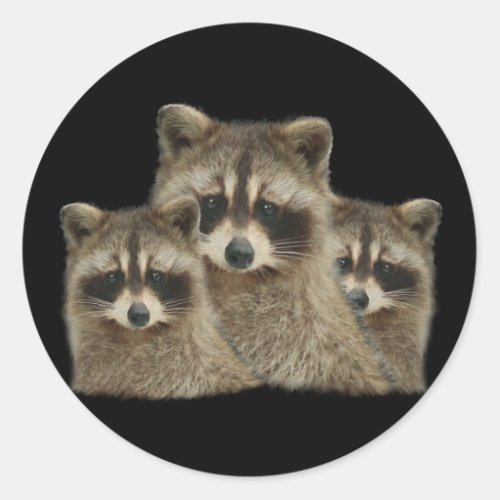 Cute Family of Raccoons Classic Round Sticker