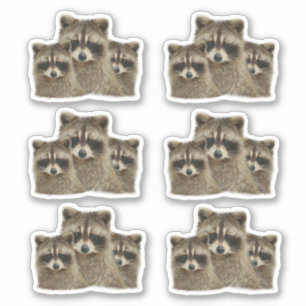Cute Family of Raccoons Sticker