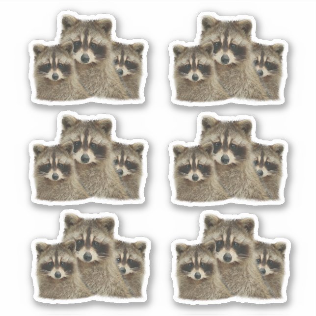 Cute Family of Raccoons Sticker (Front)