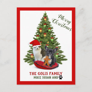 Cute Family Pets Dog Cat Merry Christmas Postcard
