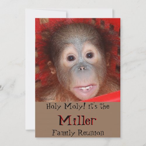 Cute Family Reunion Invitation