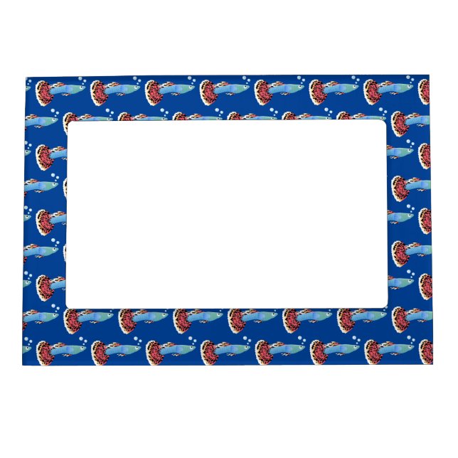 Cute fancy guppy tropical fish cartoon magnetic frame (Front)
