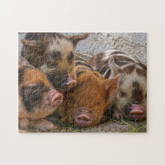 Cute Farm Animal Piglets Jigsaw Puzzle (Horizontal)