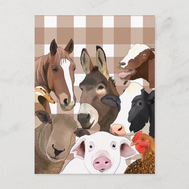 Cute Farm Animal Portrait Gingham Check - Brown Postcard (Front)