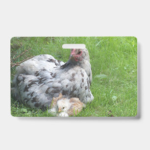 cute, farm, animals, kids, farm animals, pet, badge