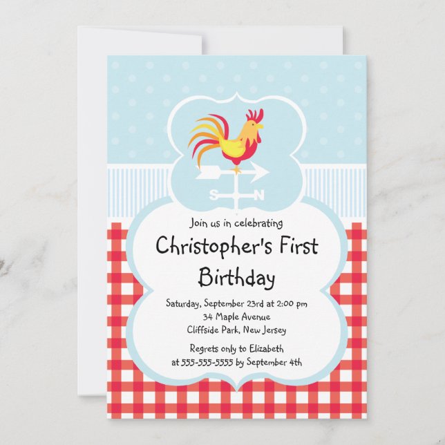 Cute Farm Barnyard Animal Birthday Invitations (Front)