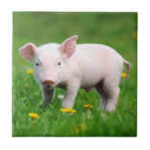 Chinese Live Laugh Love Sign Tile