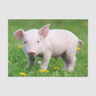 Cute Farm Living Barn Pink Piglet Tissue Paper