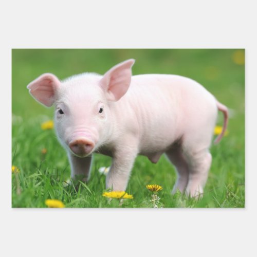 Cute Farm Living Barn Pink Piglet Wrapping Paper Sheets