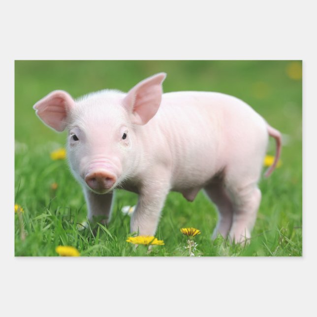 Cute Farm Living Barn Pink Piglet Wrapping Paper Sheets (Front)