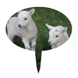Cute Farm Ranch Baby Twins Sheep Lamb Cake Topper
