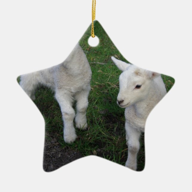 Cute Farm Ranch Baby Twins Sheep Lamb Ceramic Ornament (Front)