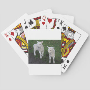 Cute Farm Ranch Baby Twins Sheep Lamb Poker Cards