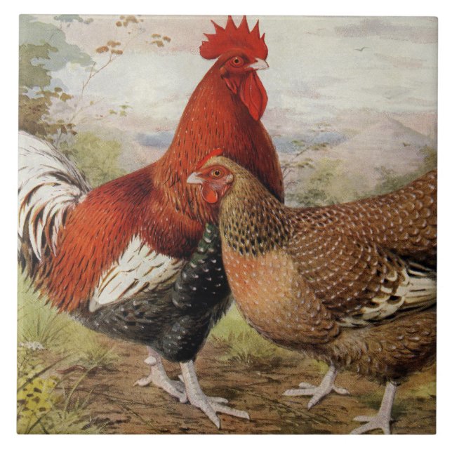Cute farmhouse rooster hen decor ceramic tile (Front)