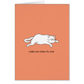 cute fat cat on a card (Front)