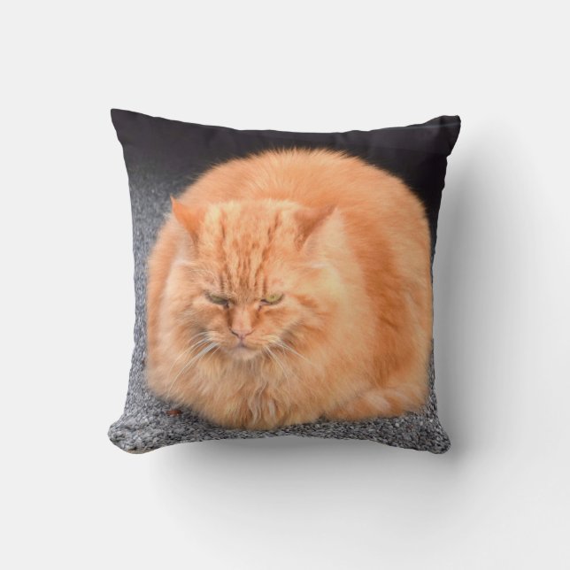 Cute Fat Cat Yellow Color Throw Pillow (Front)