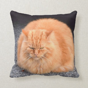 Cute Fat Cat Yellow Color Throw Pillow