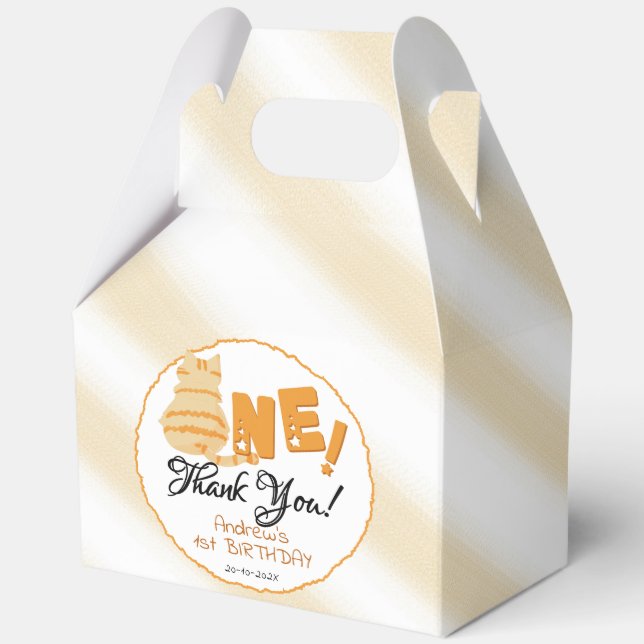 Cute Fat Orange Cat 1st Birthday Favor Boxes (Front)