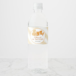 Cute Fat Orange Cat 1st Birthday Water Bottle Label