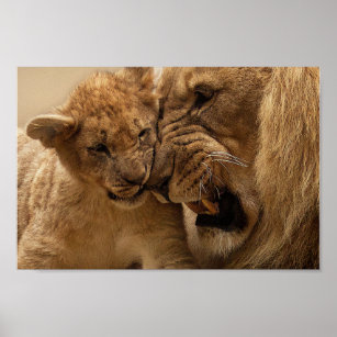 Cute Father and Son Lion Poster
