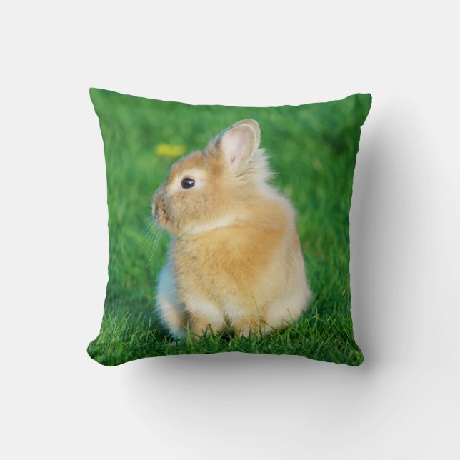 Cute Fawn Bunny Sitting in Grass Throw Pillow (Front)